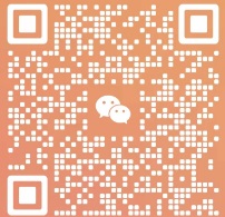 the qr code